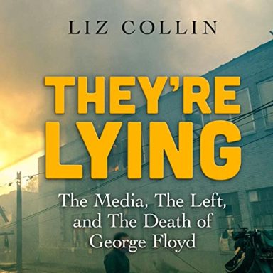 They're Lying by Liz Collin